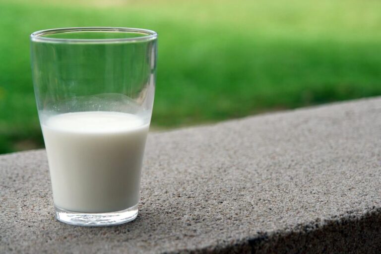 Raw Milk vs. Pasteurized Milk